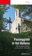 Passeggiate in Val Belluna. Alla scoperta di cento antiche chiesette di Flavio Faoro edito da Ediciclo