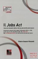 Il jobs act. I decreti attuativi della riforma del diritto del lavoro di Pietro Cesare Vincenti edito da Dike Giuridica