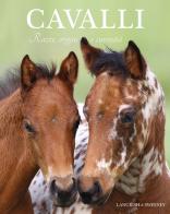 Cavalli. Razze, origini e curiosità di Nicola Jane Swinney edito da Il Castello