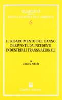 Il risarcimento del danno derivante da incidenti industriali transnazionali di Chiara Zilioli edito da Giuffrè