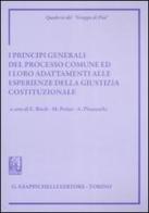 I principi generali del processo comune ed i loro adattamenti alle esperienze della giustizia costituzionale. Atti del Convegno (Siena, 8-9 giugno 2007) edito da Giappichelli