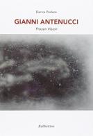 Gianni Antenucci. Frozen vision. Ediz. italiana e inglese di Bianca Pedace edito da Rubbettino