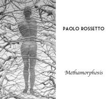 Methamorphosis. Itinerari antologici di Paolo Rossetto. Ediz. illustrata di Paolo Rossetto edito da Montabone