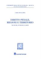 Diritto penale, regioni e territorio. Tecniche, funzioni e limiti di Carlo Ruga Riva edito da Giuffrè
