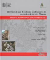 Lineamenti per il restauro postsismico del costruito storico in Abruzzo. Piano di ricostruzione di Casentino (AQ) edito da DEI