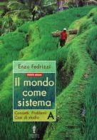 Il Mondo come sistema vol. 1 edizione 2004 vol.1 di E. Fedrizzi edito da Minerva Scuola