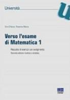 Verso l'esame di matematica 1. Raccolta di esercizi con svolgimento di Ciro D'Apice, Rosanna Manzo edito da Maggioli Editore