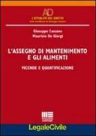 L' assegno di mantenimento e gli alimenti di Giuseppe Cassano, Maurizio De Giorgi edito da Maggioli Editore
