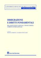 Immigrazione e diritti fondamentali. Fra Costituzioni nazionali, Unione Europea e diritto internazionale edito da Giuffrè