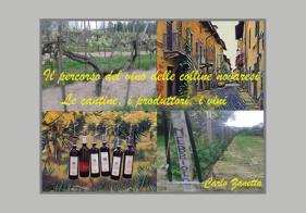 Il percorso del vino delle colline novaresi. Le cantine, i produttori, i vini di Carlo Zanetta edito da Youcanprint