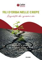 Fili d'erba nelle crepe. Risposte di speranza. Rapporto su povertà ed esclusione sociale in Italia 2024 edito da Edizioni Palumbi