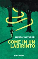 Come in un labirinto di Mauro Salvadori edito da Porto Seguro