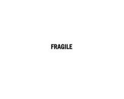 Fragile. Ediz. multilingue di M. Cristina Sammarco Pennetier edito da Bandecchi & Vivaldi