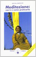 Meditazione: cos'è e come praticarla di Sogyal (Rinpoche) edito da Amrita