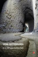 Siena sotterranea. Le vie dell'acqua: bottini e fonti di Luca Betti edito da Betti Editrice