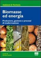 Biomasse per la produzione di energia. Produzione, gestione e processi di trasformazione di Silvana Castelli de Sannazzaro edito da Maggioli Editore