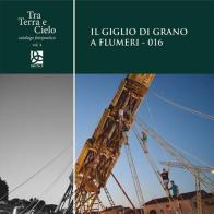 Il giglio di grano a Flumeri-016 edito da Delta 3