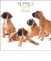 Puppies. Calendario 2004 edito da Lem