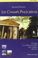Les Champs Phlégréens. Guide à la découverte des terres de feu di Massimo D'Antonio edito da Massa