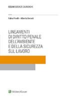 Lineamenti di diritto penale dell'ambiente e della sicurezza sul lavoro di Fabio Pinelli, Alberto Berardi edito da CEDAM