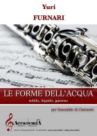 Le forme dell'acqua. Solido, liquido, gassoso. Per ensemble di clarinetti. Spartito di Yuri Letterio Furnari edito da Accademia2008