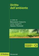 Diritto dell'ambiente edito da Il Mulino
