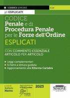 Introduzione al diritto penale tra violenza e costituzionalismo