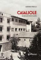 Casalsole. Sanatorio di Città di Castello di Giovanni Procelli edito da LuoghInteriori