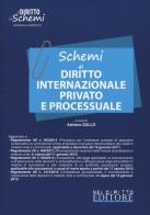 Schemi di diritto internazionale privato e processuale edito da Neldiritto Editore