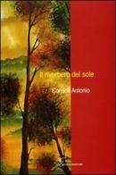 Il riverbero del sole di Antonio Consoli edito da Giraldi Editore