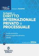 Schemi di diritto internazionale provato e processuale di Roberto Ruoppo edito da Neldiritto Editore