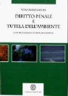 Diritto penale e tutela dell'ambiente: tra responsabilità individuali e degli enti di Vito Plantamura edito da Cacucci