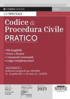 Codice di procedura civile pratico. Con aggiornamento online edito da Edizioni Giuridiche Simone