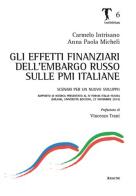 Gli effetti finanziari dell'embargo russo sulle PMI italiane. Scenari per un nuovo sviluppo. Rapporto di ricerca presentato al 4° forum Italia-Russia (Milano, 2014) di Carmelo Intrisano, Anna Paola Micheli edito da Aracne