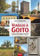 Viaggio a Goito. Escursioni nel paesaggio e nella storia di una terra tra Mantova e il Garda di Marco Dallabella edito da Sometti