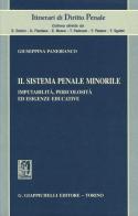 Il sistema penale minorile. Imputabilità, pericolosità ed esigenze educative di Giuseppina Panebianco edito da Giappichelli