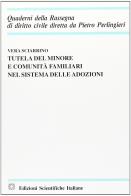 Tutela del minore e comunità familiari nel sistema delle adozioni di Vera Sciarrino edito da Edizioni Scientifiche Italiane