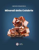 Minerali della Calabria. Ediz. illustrata di Luigi Dattola, Gianpaolo Barone edito da Gruppo Mineralogico Lombardo - Associazione Italiana di Mineralogia