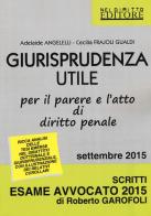 Giurisprudenza utile per il parere e l'atto di diritto penale di Adelaide Angelelli, Cecilia Frajoli Gualdi edito da Neldiritto Editore