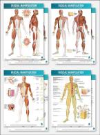 Fascial manipulation. 4 posters package di Stecco edito da Piccin-Nuova Libraria