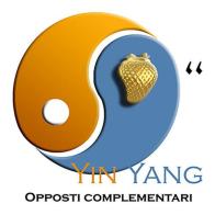 Yin Yang. Opposti complementari edito da Studio Lab 138