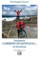 Intrigante cammino di Santiago... in bicicletta di Nicolangelo Faraco edito da Montedit