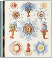 The art and science of Ernst Haeckel. Ediz. inglese, francese e tedesca di Rainer Willmann, Julia Voss edito da Taschen