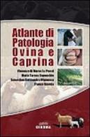 Atlante di patologia ovina e caprina edito da Genoma (Santa Teresa di Riva)