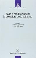 Italia e Mediterraneo: le occasioni dello sviluppo di Stefano Semplici, Luigi Troiani edito da Il Mulino