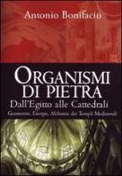 Organismi di pietra. Dall'Egitto alle cattedrali. Geometrie, energie, alchimie dei templi medievali di Antonio Bonifacio edito da Ass. Terre Sommerse