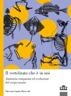 Il vertebrato che è in noi. Anatomia comparata ed evoluzione del corpo umano di Vincenzo Caputo Barucchi edito da UTET Università