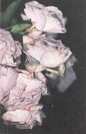 Martin Maeller: Nervous Dust edito da Mousse Magazine & Publishing