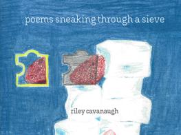 Poems sneaking through a sieve. Ediz. a spirale di Riley Cavanaugh, Nina Wexelblatt edito da FDO