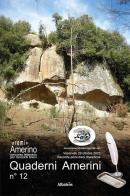 Quaderni amerini vol. 12 edito da Gruppo Albatros Il Filo